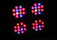 Dual Switches 480w Led Growing Lights For Cannabis , Medical Plants Hemp M.J Weed Led Indoor Garden Lights