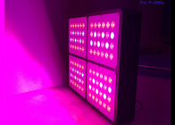 Remote Control 480w Dimmable LED Grow Lights Double 5w Chip For Indoor Plants Hydroponic