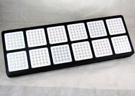 High PPFD 3w Cree Led Grow Lights For Hydroponic System Plants System 900W