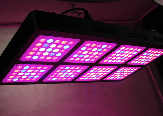 Full Spectrum 600W  IR UV Grow Lights High Power 3W Cree Chip 6.56ft X 4.94ft