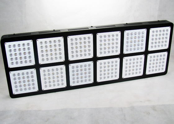 High PPFD 3w Cree Led Grow Lights For Hydroponic System Plants System 900W
